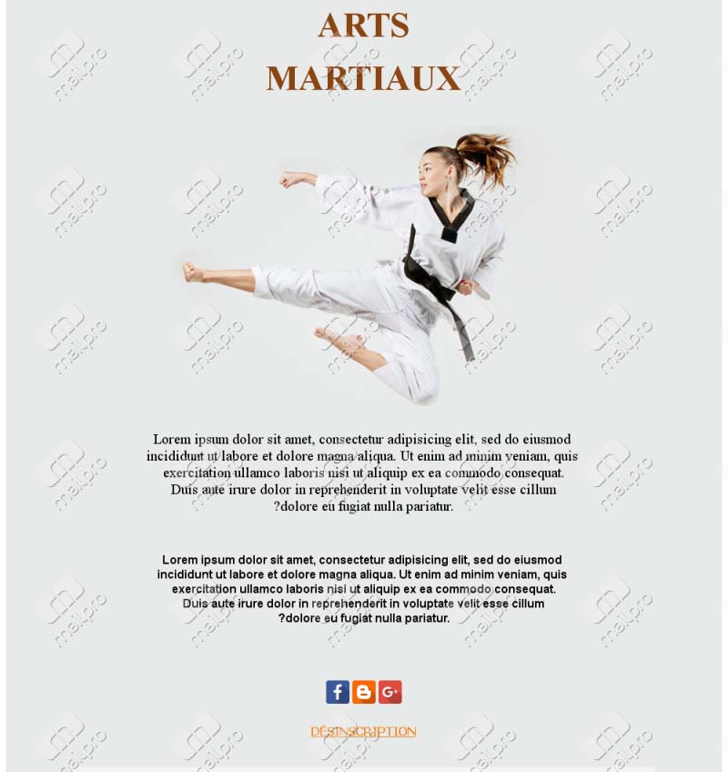 Emails Arts Martiaux