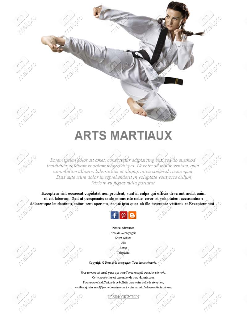 Arts Martiaux Inspiration