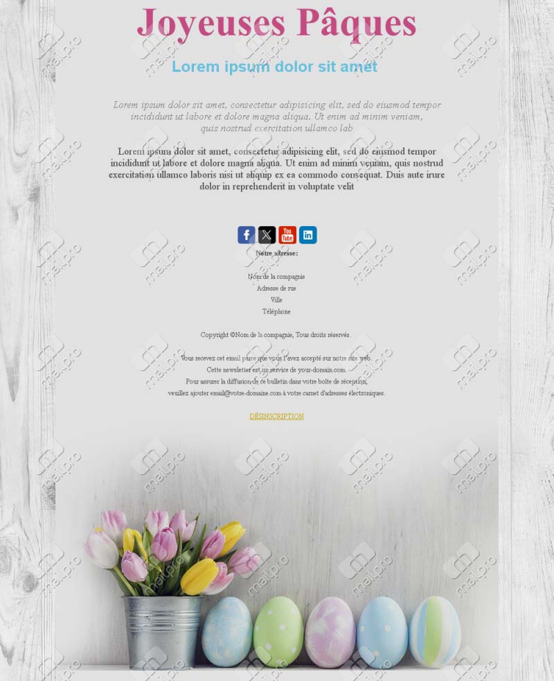 Printemps Joyeux