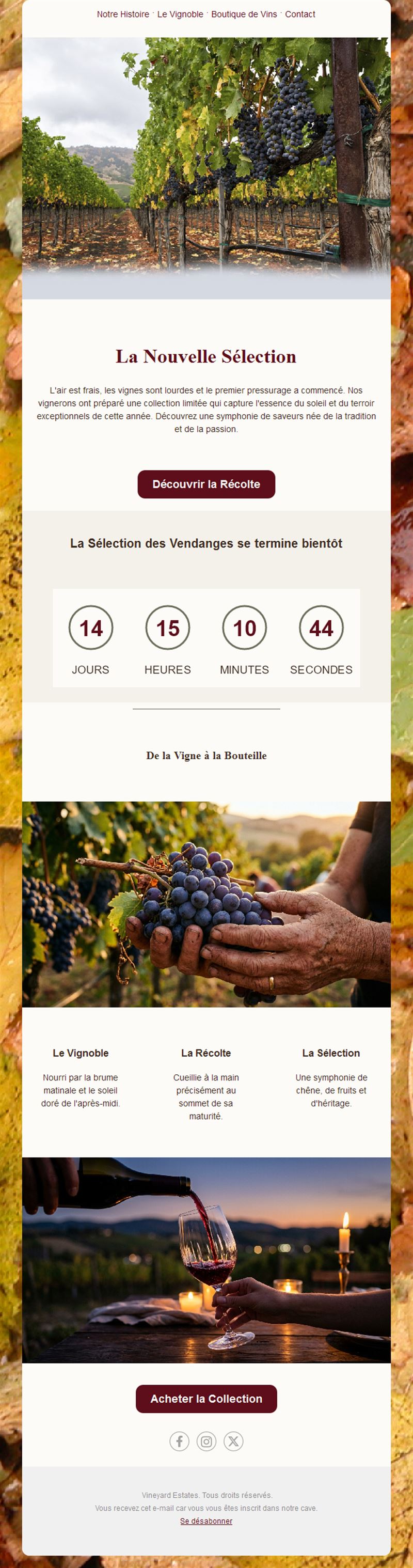 Vineyard Elegance Emails