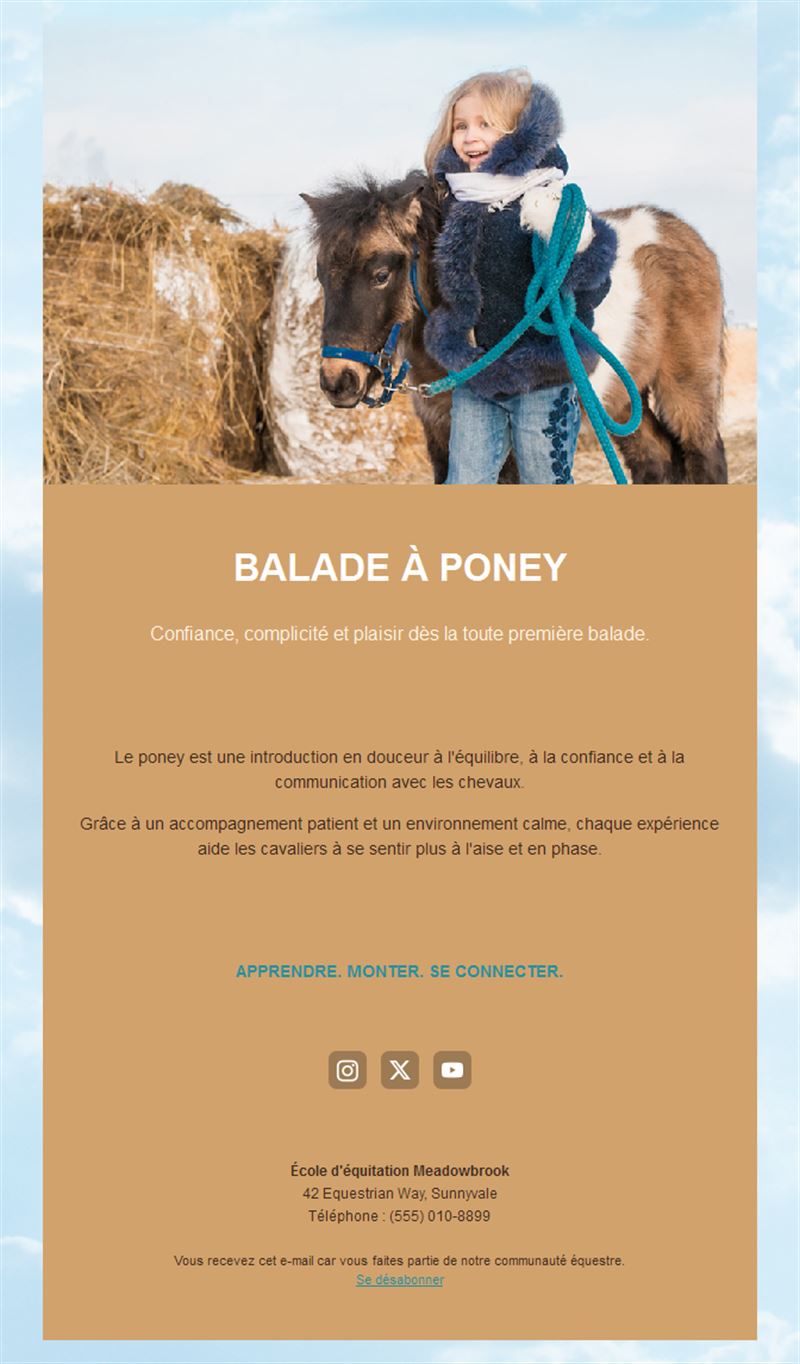 Equestrian Fun
