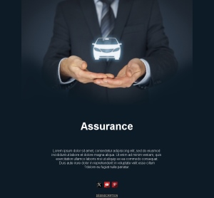 Marketing Assurance