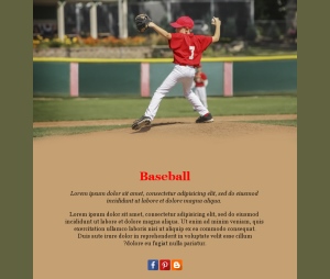 Baseball pour passionnés