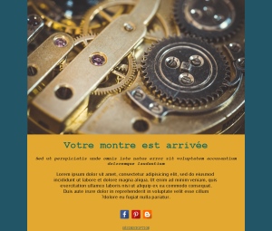 Montres de luxe et design