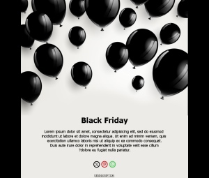 Promotions Black Friday