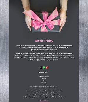 Black Friday Bonnes Affaires
