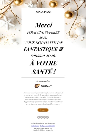 Vœux de Nouvel An 2026