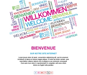 Modèles Email Bienvenue