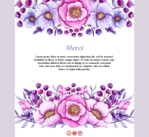 Template Email Merci Équipe