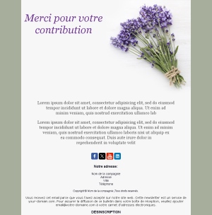 Templates Email Merci Série