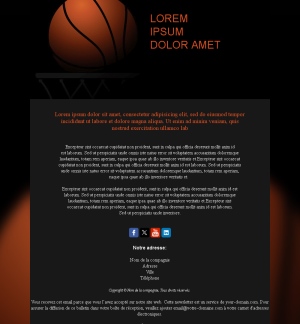 Newsletter Basketball France