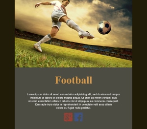 Email Football Fans France