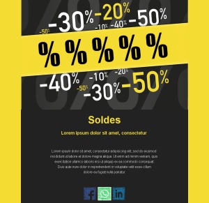 Email Vente Flash