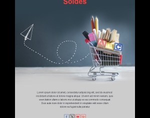 Email Vente Campagne