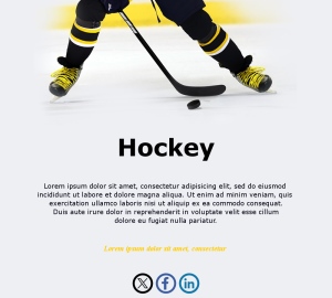 Modèles Hockey Compétition
