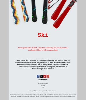 Campagne Ski Professionnelle