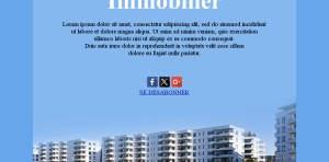 Immobilier France Modèle