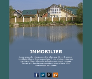Newsletter Immobilier