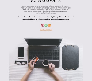 Promotions en Ligne
