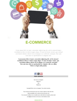 Commerce en Ligne