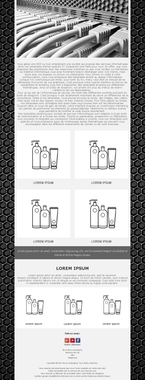 Newsletter Entreprise IT