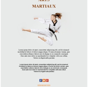 Emails Arts Martiaux