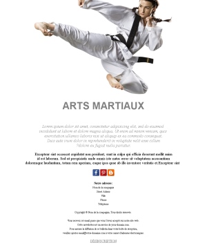 Arts Martiaux Inspiration