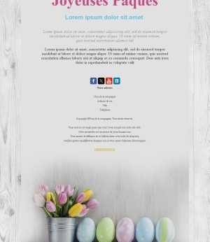 Printemps Joyeux