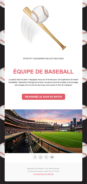 Vibrant Baseball Fan Templates