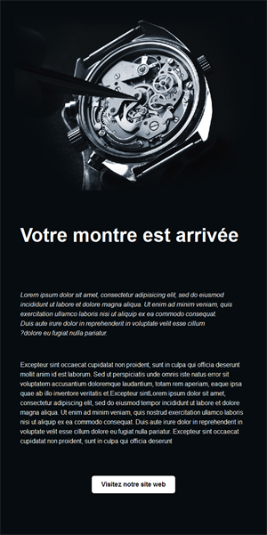 Luxury Watch Collection Templates
