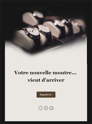 Luxury Watch Collection Templates