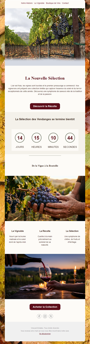 Vineyard Elegance Emails