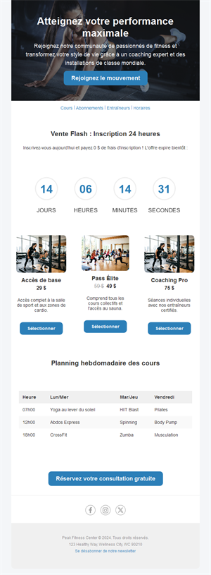 Active Lifestyle Emails